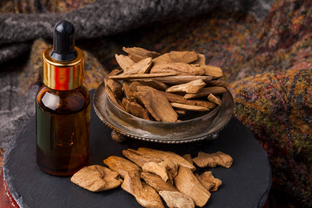 Agarwood, also called aloeswood, oil and incense chips